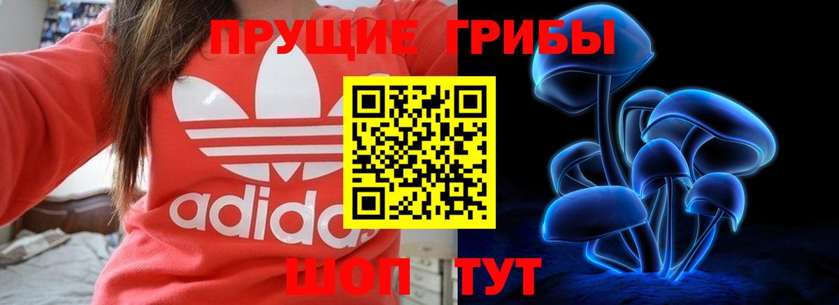 Кушва  Псилоцибиновые грибы Psilocybine cubensis  Вход с VPN 